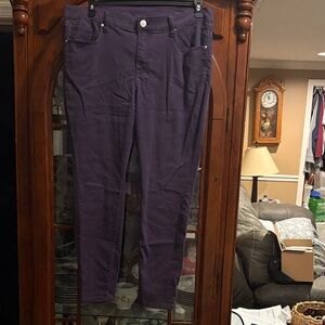 Lane Bryant Women's Dark Purple Skinny Jeans
